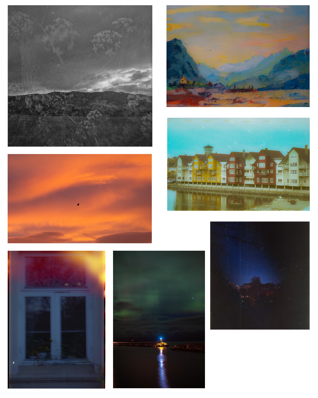 portfolio photographs
